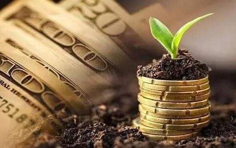 期货女王直播间多少